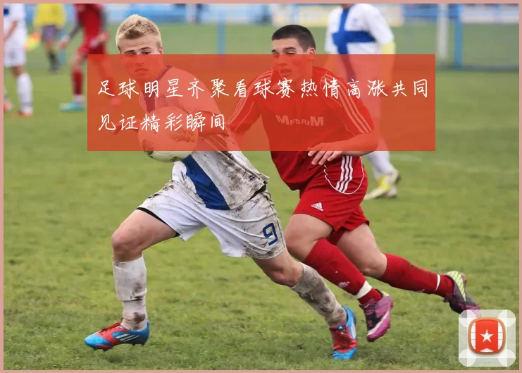 足球明星齐聚看球赛热情高涨共同见证精彩瞬间