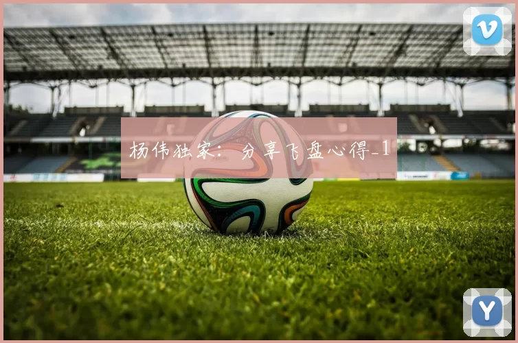 杨伟独家：分享飞盘心得_1