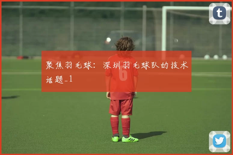 聚焦羽毛球：深圳羽毛球队的技术话题_1