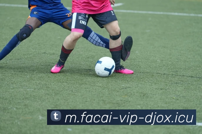 爱游戏体育注册平台生态图